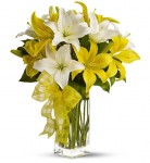 Lovable Lilies