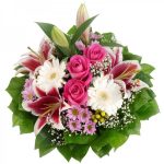 Pink Wonders